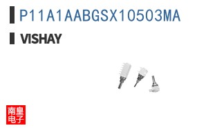 P11A1AABGSX10503MA