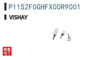 P11S2F0GHFX00R9001
